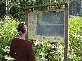 Informationstafel am Waldteich in Kellenhusen