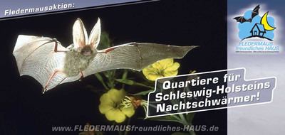 Initiative Fledermausfreundliches Haus