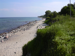 Strand an der Steilkueste