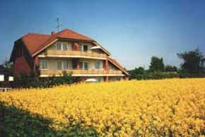 G&auml;stehaus "Unter den Linden " mit Rapsfeld