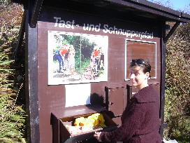Tast- und Schnupperpfad auf dem Naturlehrpfad im Wasservogelreservat Wallnau