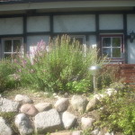 Trockenmauer mit mediterranen Kräutern