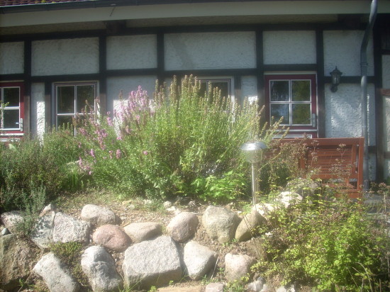 Kräutergarten gesunde Kräuter und Obst