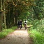 Radtour durch den Wald Radtour durch den Wald