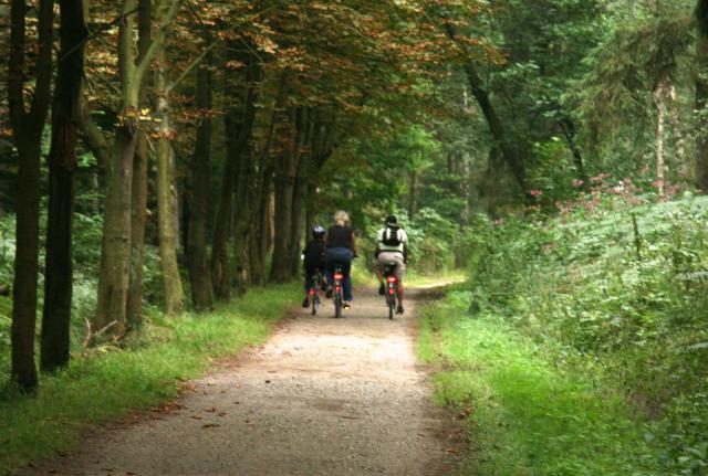 Radtour durch den Wald