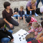 Trophäenschau am Strand