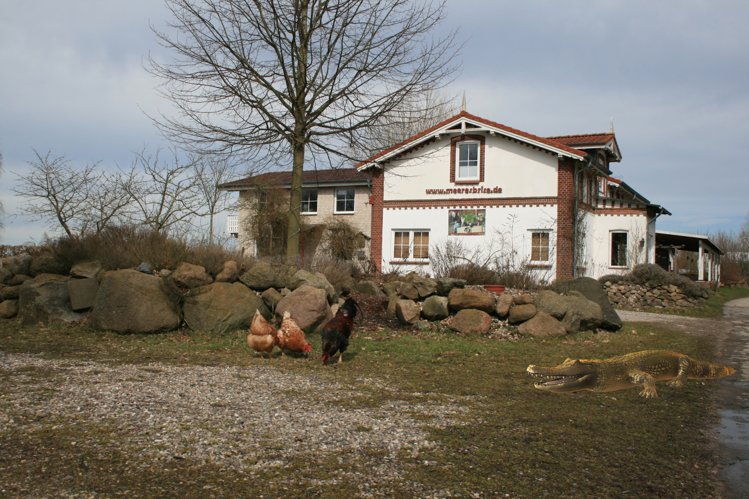 Krokodile am Oldenburger Graben